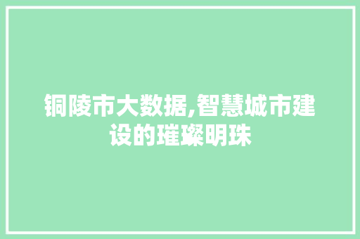 铜陵市大数据,智慧城市建设的璀璨明珠