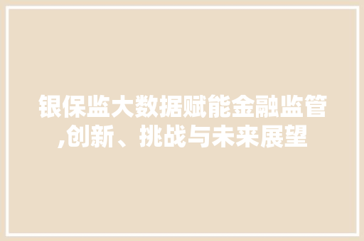 银保监大数据赋能金融监管,创新、挑战与未来展望