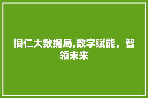 铜仁大数据局,数字赋能，智领未来
