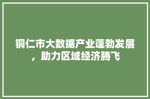 铜仁市大数据产业蓬勃发展，助力区域经济腾飞