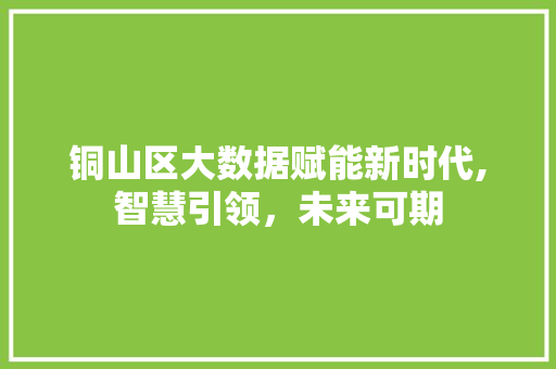 铜山区大数据赋能新时代,智慧引领，未来可期