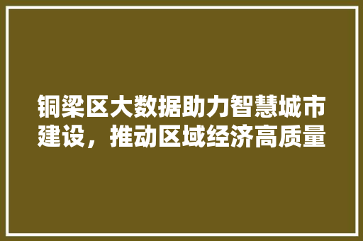 铜梁区大数据助力智慧城市建设，推动区域经济高质量发展