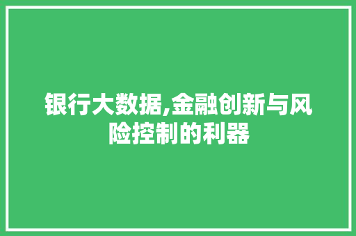 银行大数据,金融创新与风险控制的利器