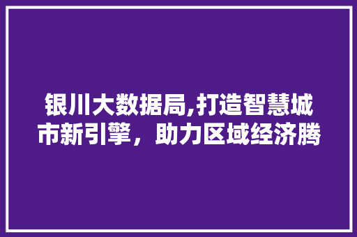 银川大数据局,打造智慧城市新引擎，助力区域经济腾飞