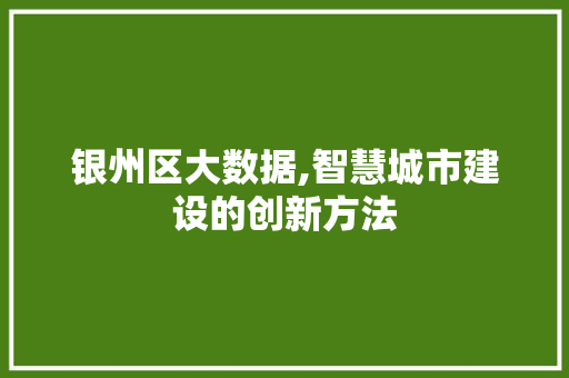 银州区大数据,智慧城市建设的创新方法