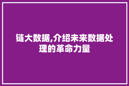 链大数据,介绍未来数据处理的革命力量