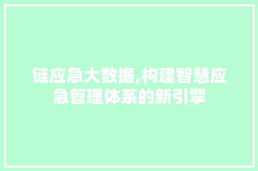 链应急大数据,构建智慧应急管理体系的新引擎 神马SEO