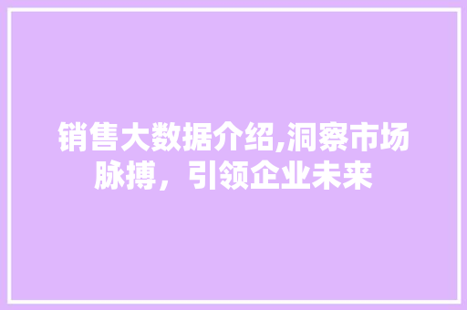 销售大数据介绍,洞察市场脉搏，引领企业未来