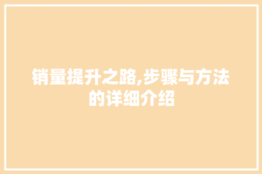 销量提升之路,步骤与方法的详细介绍