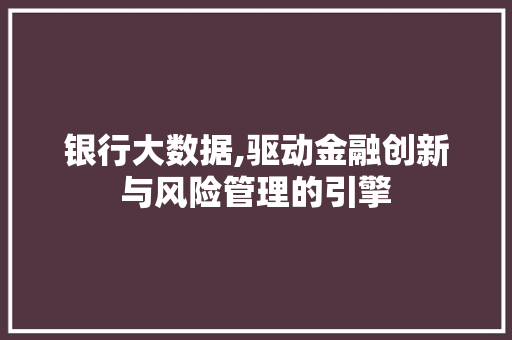 银行大数据,驱动金融创新与风险管理的引擎