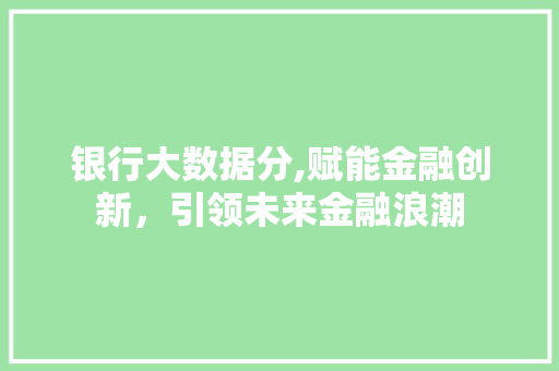银行大数据分,赋能金融创新，引领未来金融浪潮