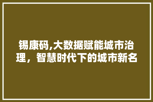 锡康码,大数据赋能城市治理，智慧时代下的城市新名片