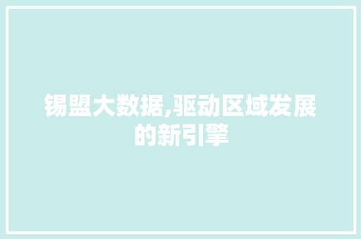锡盟大数据,驱动区域发展的新引擎
