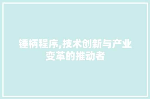 锤柄程序,技术创新与产业变革的推动者