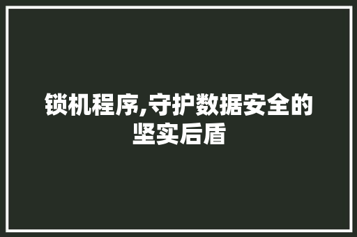 锁机程序,守护数据安全的坚实后盾