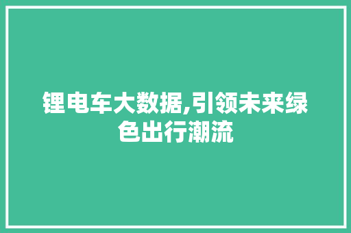 锂电车大数据,引领未来绿色出行潮流