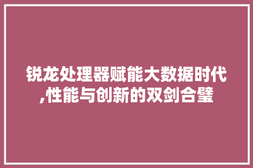 锐龙处理器赋能大数据时代,性能与创新的双剑合璧