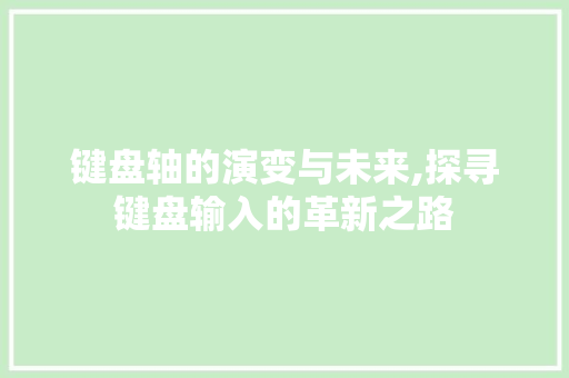 键盘轴的演变与未来,探寻键盘输入的革新之路