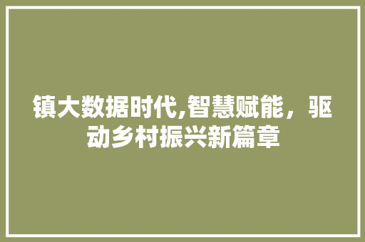镇大数据时代,智慧赋能，驱动乡村振兴新篇章