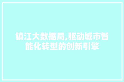 镇江大数据局,驱动城市智能化转型的创新引擎