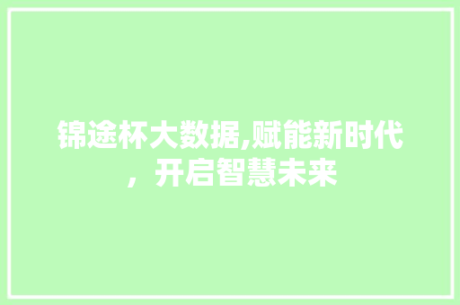 锦途杯大数据,赋能新时代，开启智慧未来