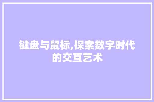 键盘与鼠标,探索数字时代的交互艺术