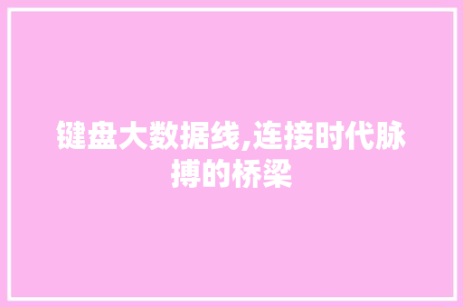 键盘大数据线,连接时代脉搏的桥梁