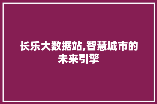 长乐大数据站,智慧城市的未来引擎