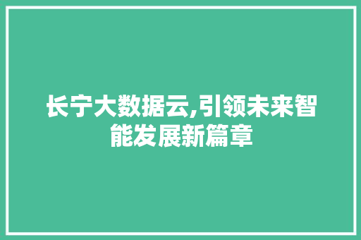 长宁大数据云,引领未来智能发展新篇章