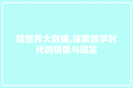 镜世界大数据,探索数字时代的镜像与现实