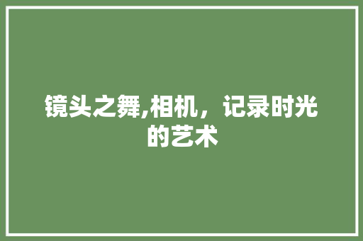 镜头之舞,相机，记录时光的艺术