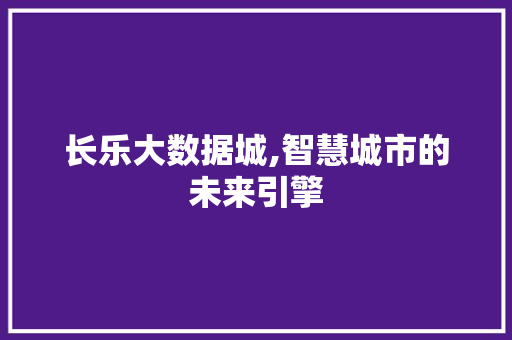 长乐大数据城,智慧城市的未来引擎