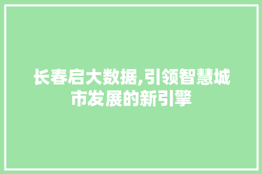 长春启大数据,引领智慧城市发展的新引擎