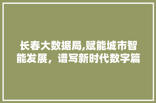 长春大数据局,赋能城市智能发展，谱写新时代数字篇章
