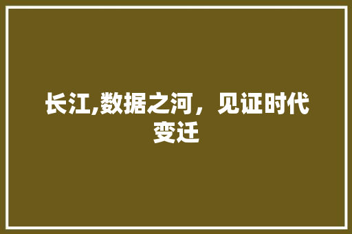 长江,数据之河，见证时代变迁
