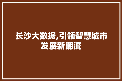 长沙大数据,引领智慧城市发展新潮流