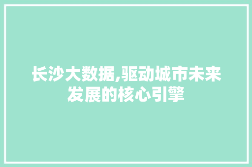 长沙大数据,驱动城市未来发展的核心引擎