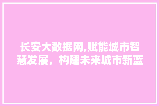 长安大数据网,赋能城市智慧发展，构建未来城市新蓝图