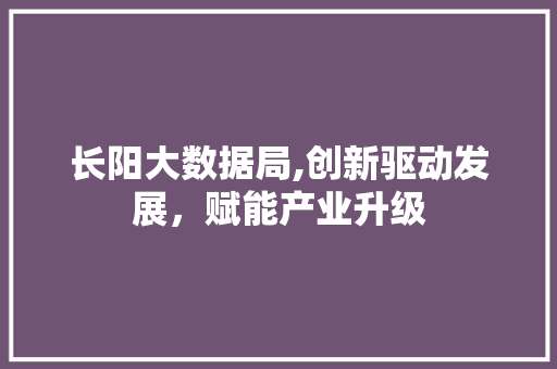 长阳大数据局,创新驱动发展，赋能产业升级