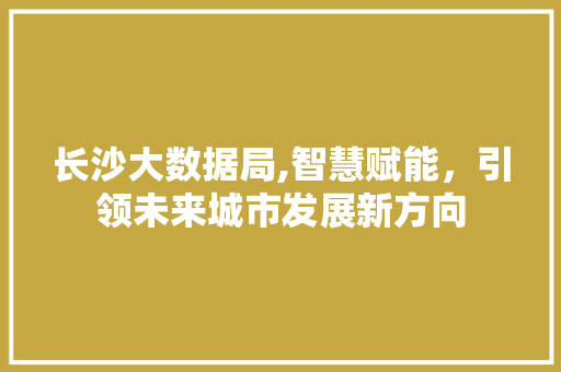 长沙大数据局,智慧赋能，引领未来城市发展新方向