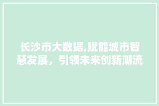 长沙市大数据,赋能城市智慧发展，引领未来创新潮流