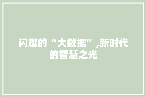 闪耀的“大数据”,新时代的智慧之光
