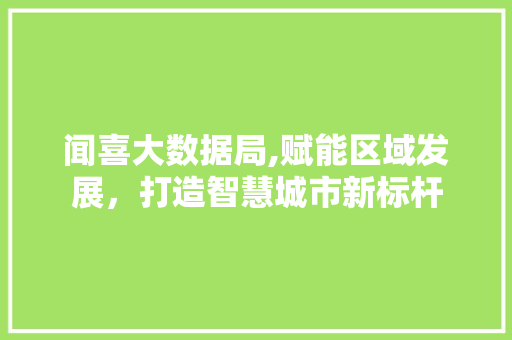 闻喜大数据局,赋能区域发展，打造智慧城市新标杆