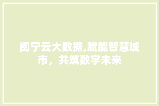 闽宁云大数据,赋能智慧城市，共筑数字未来