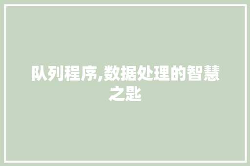 队列程序,数据处理的智慧之匙 百度SEO