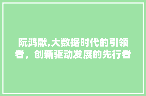 阮鸿献,大数据时代的引领者，创新驱动发展的先行者