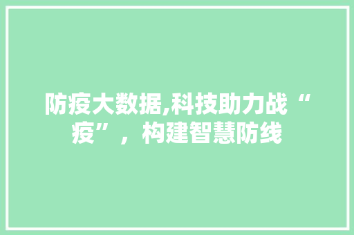 防疫大数据,科技助力战“疫”，构建智慧防线