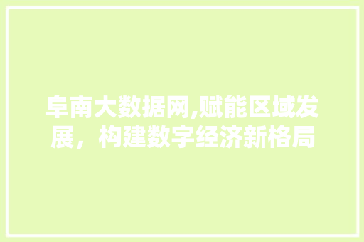阜南大数据网,赋能区域发展，构建数字经济新格局