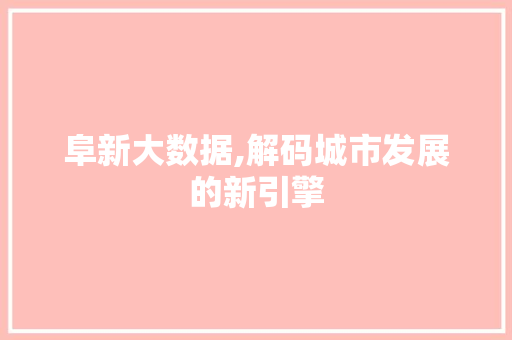 阜新大数据,解码城市发展的新引擎