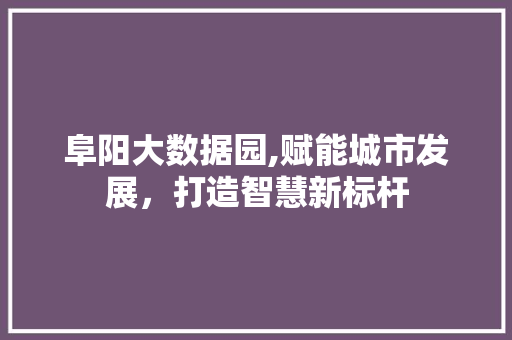 阜阳大数据园,赋能城市发展，打造智慧新标杆